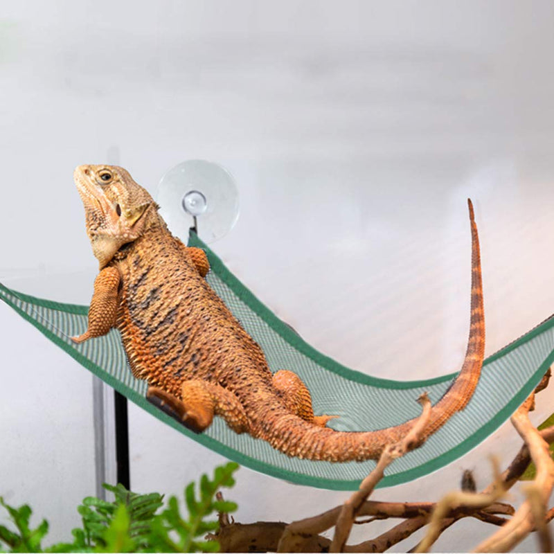 ADOGGYGO Bearded Dragon Lizard Hammock Reptile Hammock Lounger Ladder Bearded Dragon Hammock Accessories for Bearded Dragons Geckos Lizards Reptile (Green) Green