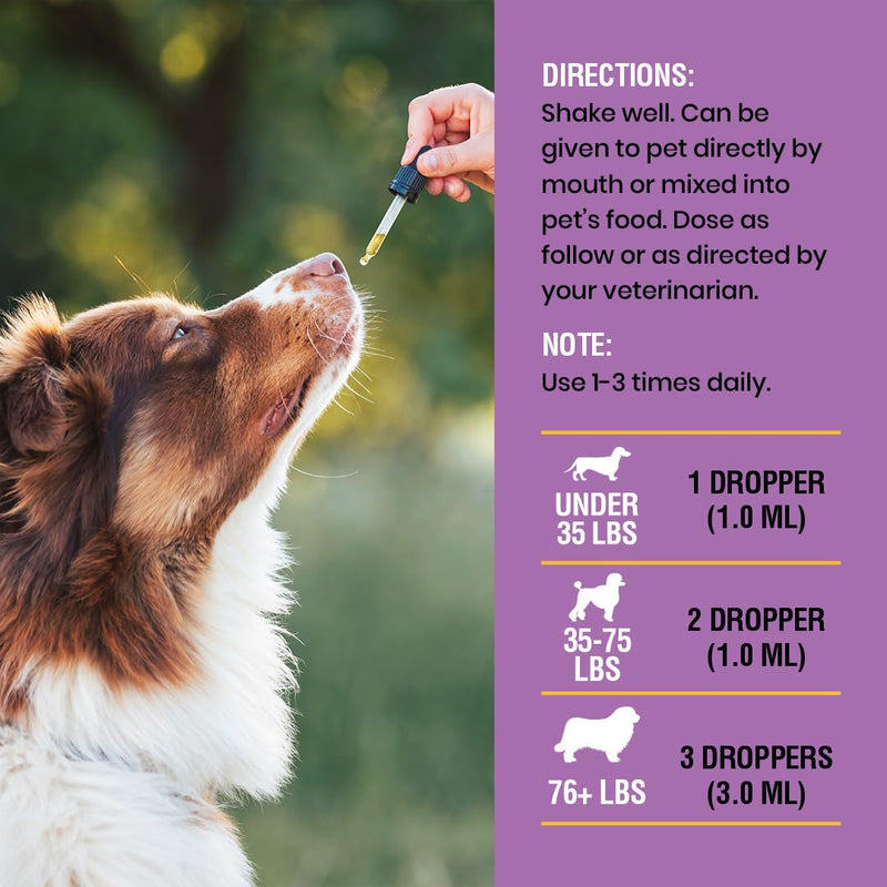 Yeast Infection Treatment for Dogs - Soothing Itch Relief, Ear Infection Treatment, Reduces Irritation & Inflammation, 2 oz - PawsPlanet Australia