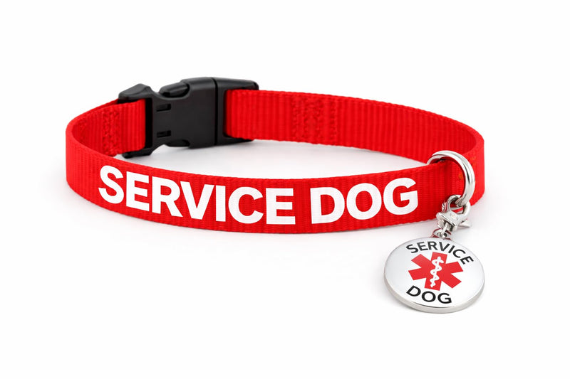 Service Dog Collar & Emotional Support Animal (ESA) Collar with Metal ID Tag + 3 Information Cards – Adjustable Heavy-Duty Nylon | ALL ACCESS CANINE Service Dog (collar and tag) M (14-20") - PawsPlanet Australia