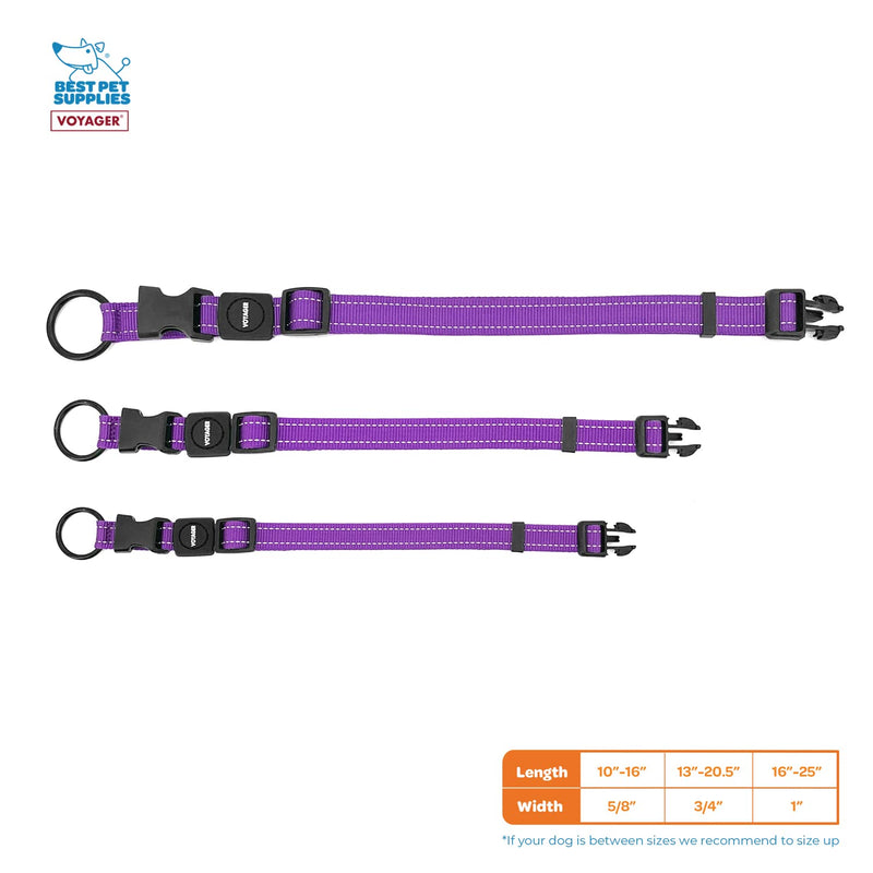 Best Pet Supplies Reflective Dog Collar with Adjustable Length, Heavy-Duty Buckle, and Strong Leash D-Ring, Training, Walking, Jogging Accessory for Small, Medium, and Large Breeds - Purple, S - PawsPlanet Australia