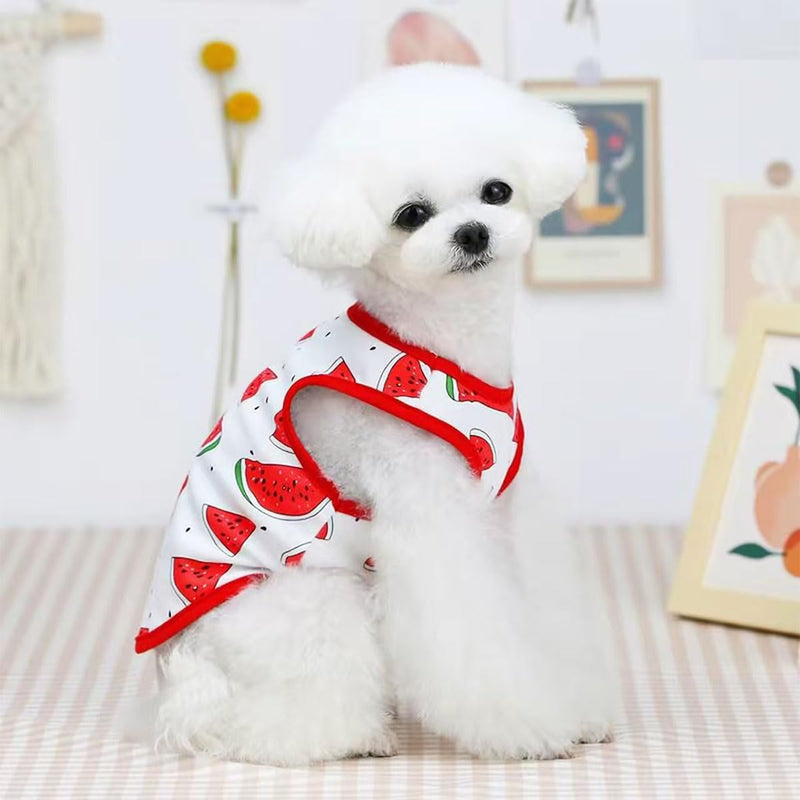 2-Pack Pet Post-Surgery Recovery Suit for Cats Dogs, Abdominal Wound Protector Anti-Licking, Soft Breathable Onesie with Adjustable Fit, Small Pets Universal Tee(Medium, Watermelon,Football) Medium