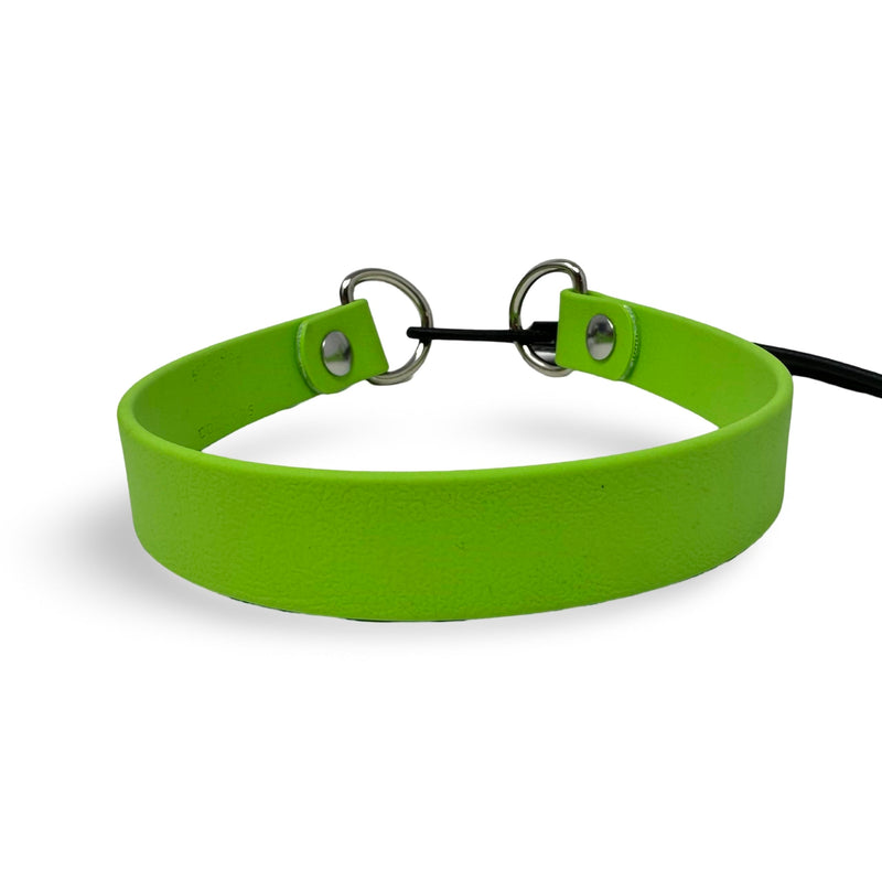 SparkDog Collars 1” Quick Adjust E-Collar Replacement Strap – Waterproof & Durable – Fits Dogtra & Most Brands – Made in USA for Working Dogs, Hunters & Pet Owners (Bright Green, Standard Beta) Bright Green - PawsPlanet Australia