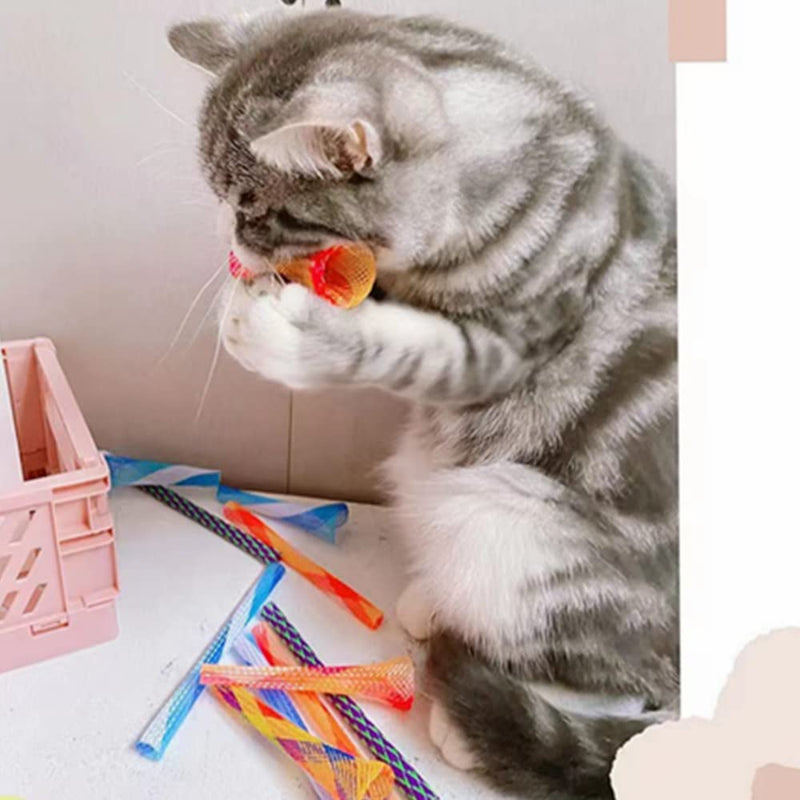 ISMARTEN Cat Spring Toys, 30 Packs Cat Tube Spring Toy Interactive Cat Toy for Indoor Cats, Plastic Spring Coils Attract Cats to Swat, Bite, Hunt(Random Color) (30 Packs) - PawsPlanet Australia
