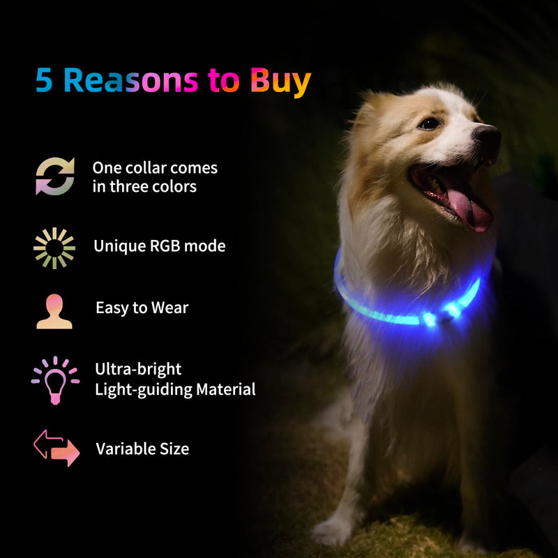Light Up Dog Collar Super Bright Led Dog Collar with RGB Lighting Modes, Type-C Rechargeable & Waterproof Glow in The Dark Collar for Small Medium Large Dogs 70cm Cutable Collar Night Walking Safety - PawsPlanet Australia