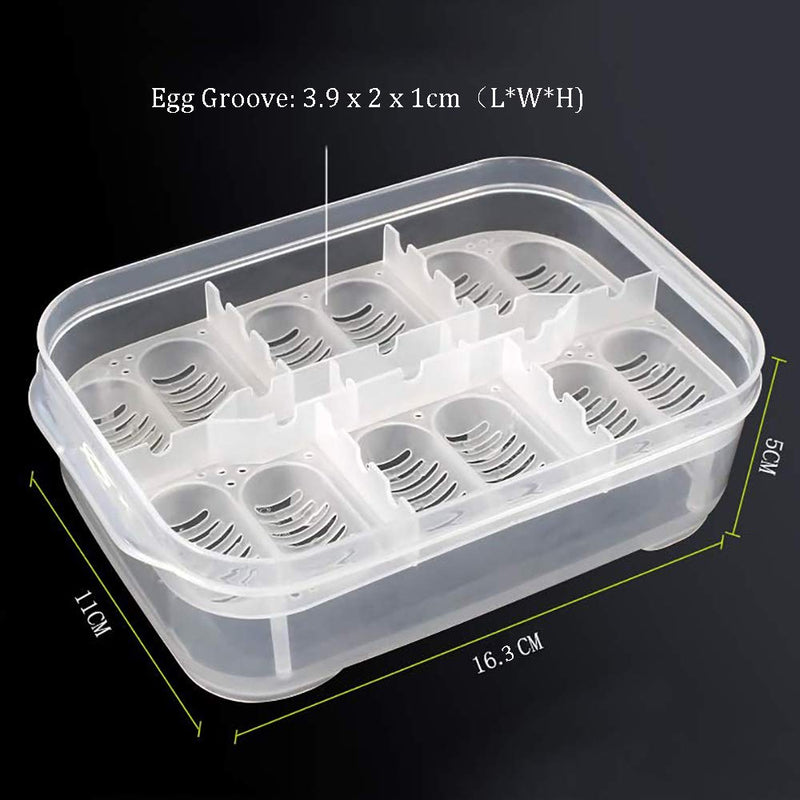 NGe Reptile Egg Breeding Hatchery Box Incubator Tray Container Box for Snake Gecko Lizard (12 Holes) - PawsPlanet Australia