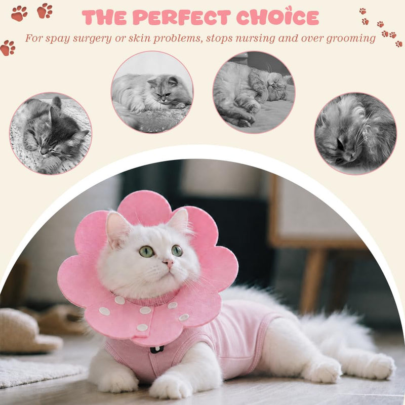 WALLFID Cat Surgical Body with Cat Neck Cone, Recovery Suit after Surgery for neutered, injured, sore-licking and skin-problem cats (M) M