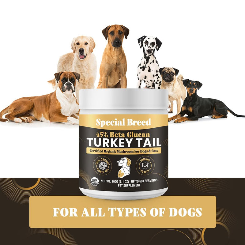 Organic Turkey Tail Mushroom for Dogs and Cats, 45% Beta Glucan Standardized, Hot Water Extracted Whole Fruiting Body, Third Party Tested, Immune and Gut Support, No Fillers, Made in USA, 660 ct 7.1oz