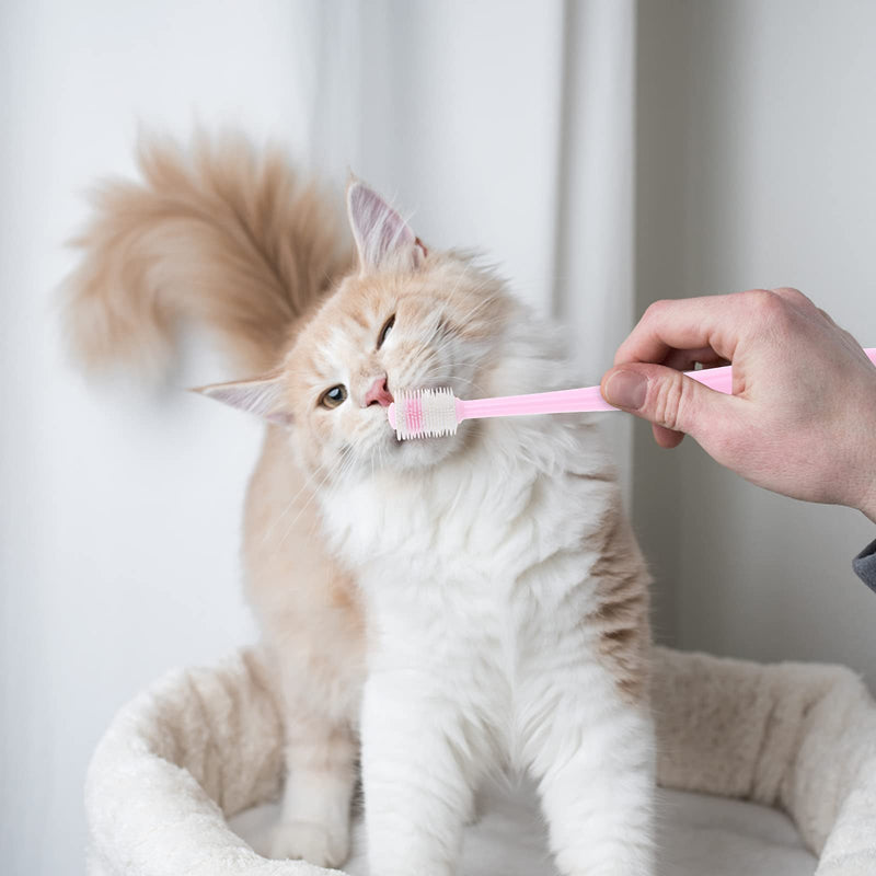 Molain 2 Pieces 360 Degree Dog Toothbrush, Soft Silicone Pet Toothbrushes with 2 Storage Boxes, Cat Toothbrush, Puppy Toothbrush, Dog Teeth Cleaning Set 1 stück (2er Pack)