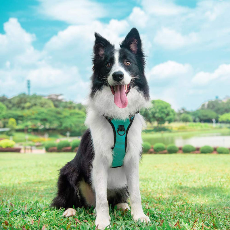 PoyPet No Pull Dog Harness, Reflective Comfortable Vest Harness with Front & Back 2 Leash Attachments and Easy Control Handle Adjustable Soft Padded Pet Vest for Small to Large Dogs (Mint Blue,L) Mint Blue - PawsPlanet Australia