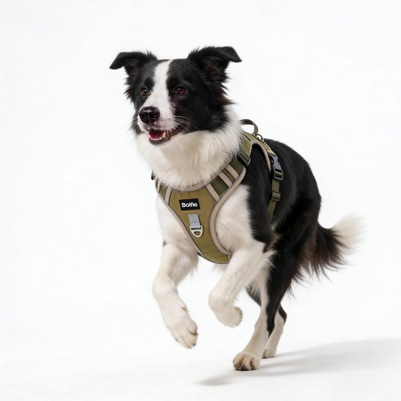 Tactical Dog Harness for Medium Dogs,No Pull Military Dog Vest with Handle,Reflective Heavy Duty Pet Harness for Walking Hiking Training M - PawsPlanet Australia