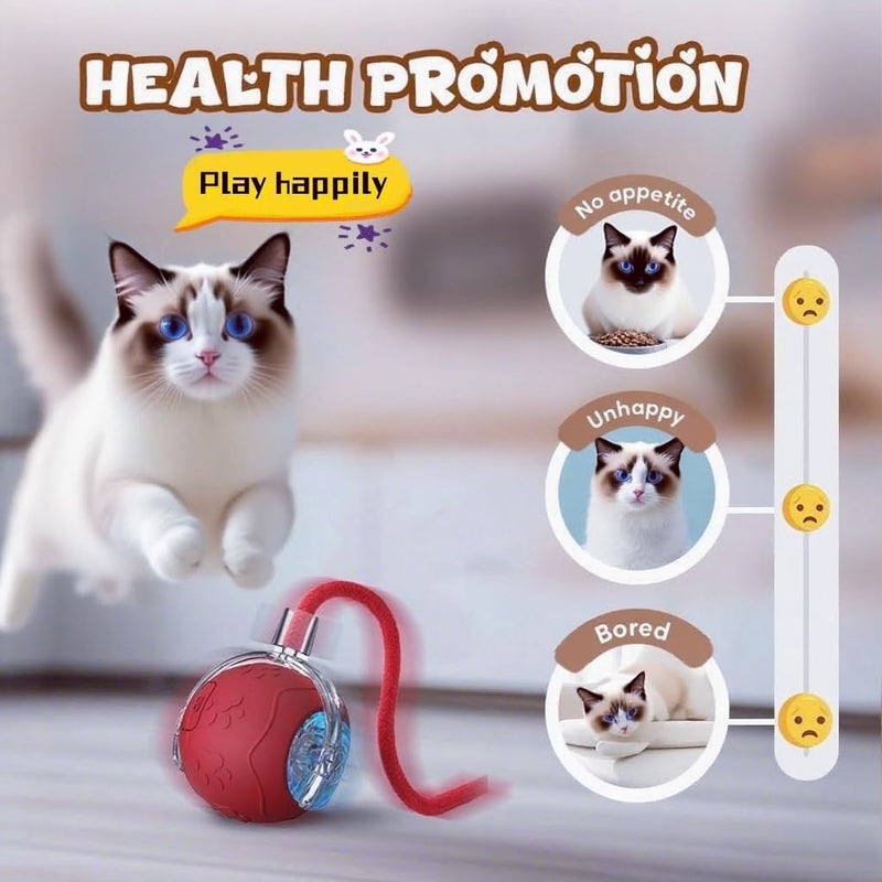 2025 New Interactive Cat Toy Ball for Indoor Cats Dog, Smart 360° Automatic Rolling Pet Ball Kitten Toys with Replace Feather , 3.0 Tail Electric Cat's Toys with LED Light Three Modes Adjustment Red - PawsPlanet Australia