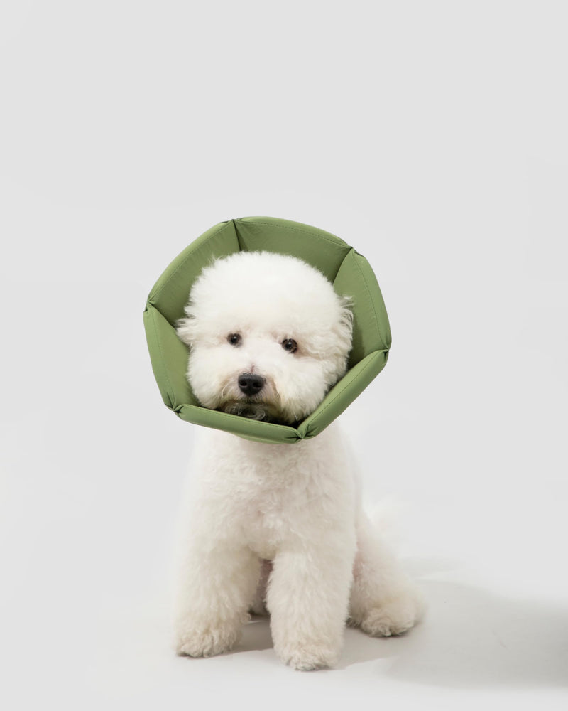 Lightweight Cat Cone Collar, Waterproof Soft Recovery E-Collar for Cats & Small Dogs, Adjustable Protective Elizabethan Collar to Prevent Licking & Biting, Easy-Clean Quick-Dry Design, Yellow M Size