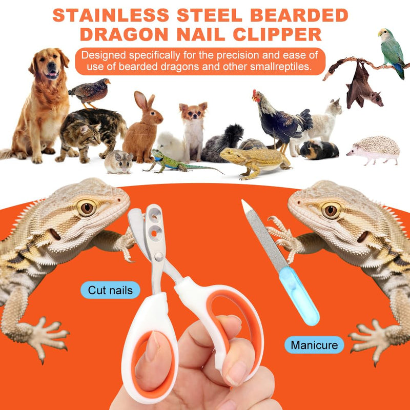 Bearded Dragon Nail Clippers, Stainless Steel Cat Nails Trimmer, Small Animal Nail Clippers for Birds Hamsters Rabbits Chameleon, Bearded Dragon Supplies Professional Claw Trimmers(Orange) - PawsPlanet Australia