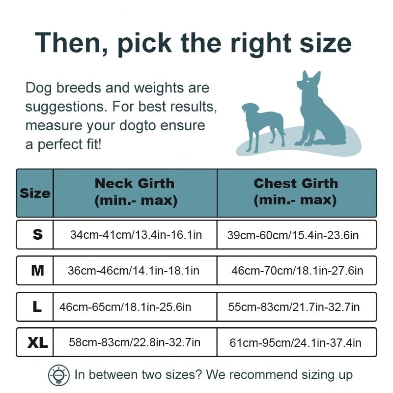 Enorme Dog Harness with Leash & Poop Bag Container + 350 ML Bowl, No-Pull Pet Harness Adjustable Soft Padded Dog Vest Reflective Oxford Vest with Easy Control Handle. (Black, Small) Black - PawsPlanet Australia