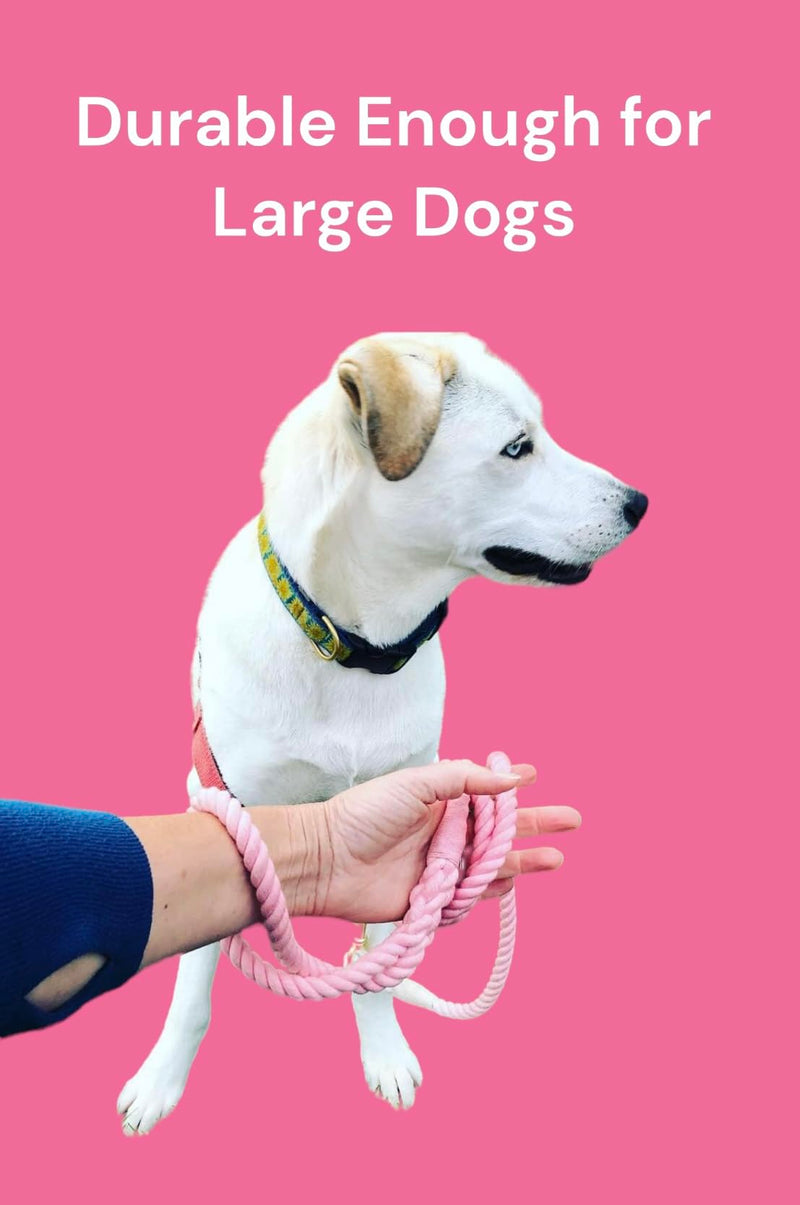 Glow Pups Rope Dog Leash with Durable Braided Design, Stylish Ombre Pattern, and Rustproof Swivel Hook, 5 Foot Long, Hand-Crafted, Ideal for Medium and Large Dogs (Pink) Pink - PawsPlanet Australia