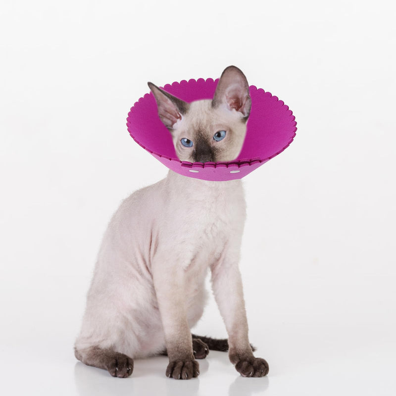 Toyvian 7-Pack Lightweight Adjustable Rehabilitation Collar made of PP for Cats and Dogs 4.5-7kg with Conical Shape for Postoperative Use and Daily Protection