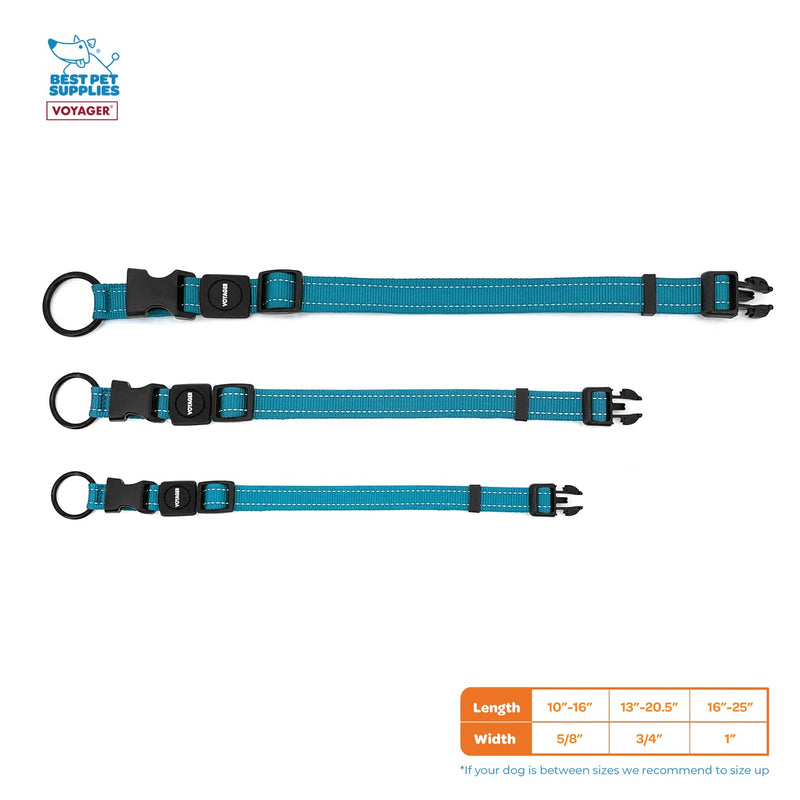 Best Pet Supplies Reflective Dog Collar with Adjustable Length, Heavy-Duty Buckle, and Strong Leash D-Ring, Training, Walking, Jogging Accessory for Small, Medium, and Large Breeds - Turquoise, L - PawsPlanet Australia