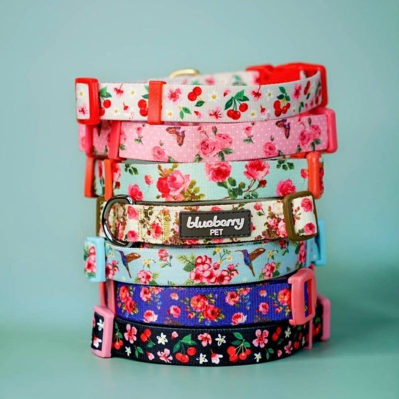 Blueberry Pet Essentials Spring Scent Inspired Garden Floral Adjustable Dog Collar in Baby Pink, Large, Neck 18"-26"