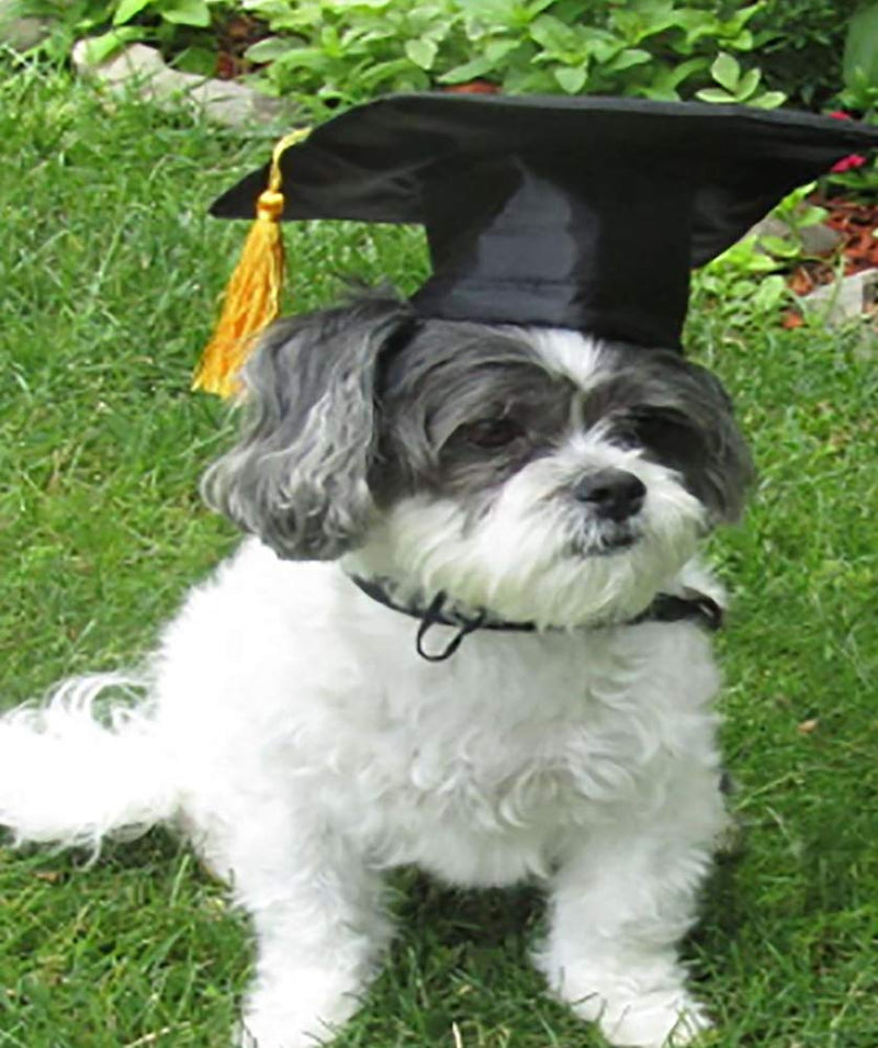 Chanbin Pet Graduation Caps with Small Dog Graduation Hats with Yellow Tassel for Dogs Cats Holiday Costume Accessory