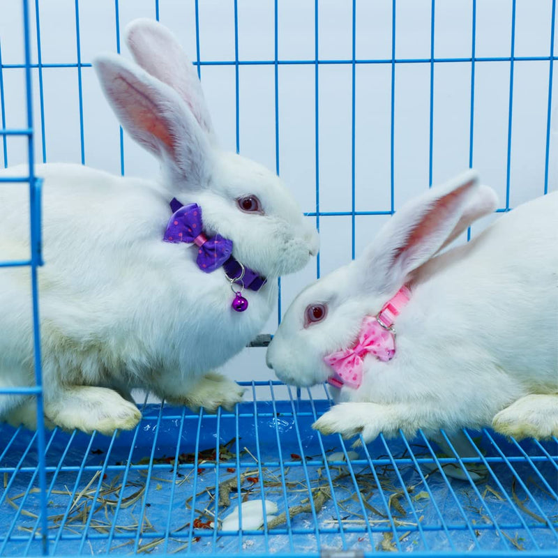 3 Pcs Rabbit Adjustable Collars with Bell, Guinea Pig Bow-Knot Cute Collar, Small Animal Exercise and Interaction Accessories (Colors May Vary) - PawsPlanet Australia