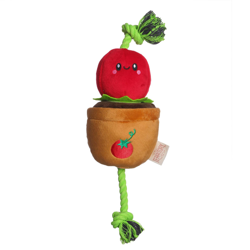 Territory Tomato Treat-and-Tug Dog Toy