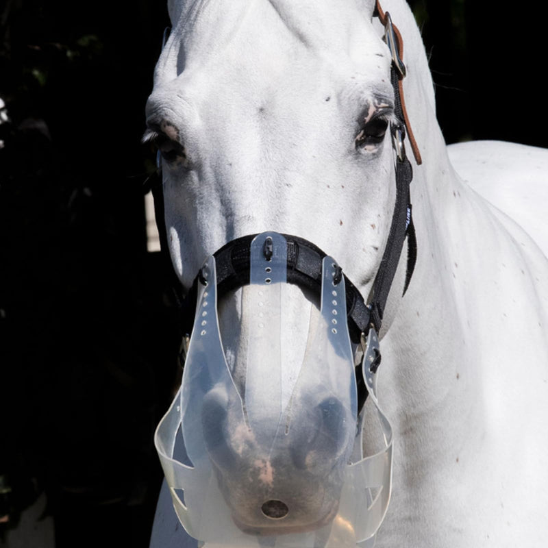Thinline Turnout Halter for Use with Grazing Muzzle | Horse Equine Safe Comfortable Adjustable Breakaway Halter - Size Options Small Pony