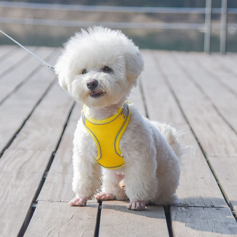 Small Dog Harness and Leash Set, No-Pull Reflective Puppy Harness for Outdoor Walking, Breathable Mesh Girl Cats Vest for XXS Xs Small Medium Female Pet Dogs, Pink XXS XXS(Chest 10-13") - PawsPlanet Australia