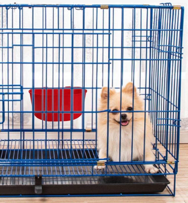 5 Pack Cage Cups Chicken Birds Feeder Water Bowl 25 OZ Rabbit Feeding Watering Dish for Travel Carrier Cat Puppy Food Dispenser Hanging Wire Cages Treats Box Seed Drinking Coop Cup Birdbath Red 25 OZ Pack of 5 - PawsPlanet Australia