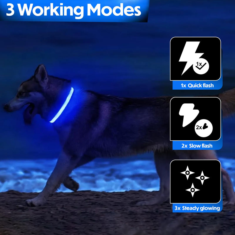 Light Up Dog Collar – Reflective, Adjustable & Rechargeable Electronic Glow Pet Collars – Bright, Comfortable, High Visibility LED Dog Collar for Night Safety, Outdoor Walk & Flashing Fun, Blue, Small