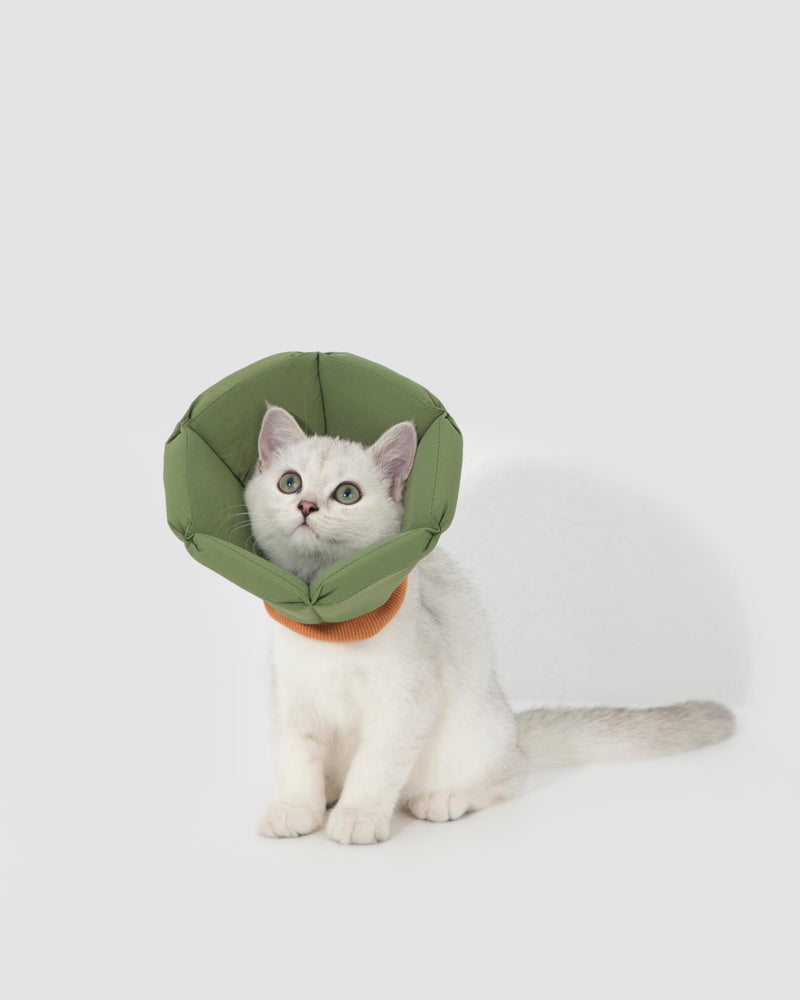 Lightweight Cat Cone Collar, Waterproof Soft Recovery E-Collar for Cats & Small Dogs, Adjustable Protective Elizabethan Collar to Prevent Licking & Biting, Easy-Clean Quick-Dry Design, Yellow M Size