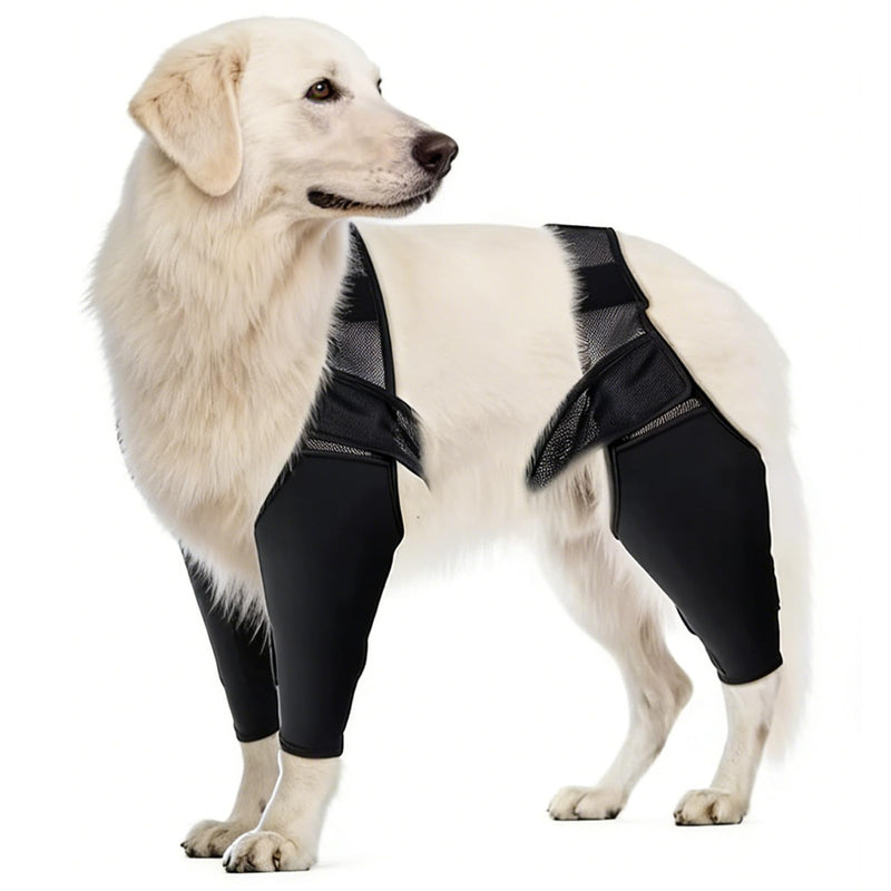 Dog Hind Leg Brace for ACL Injuries, Supports Joint Stability and Reduces Pain, Comfortable and Adjustable Dog Knee Brace Fit for All Breeds (Small)