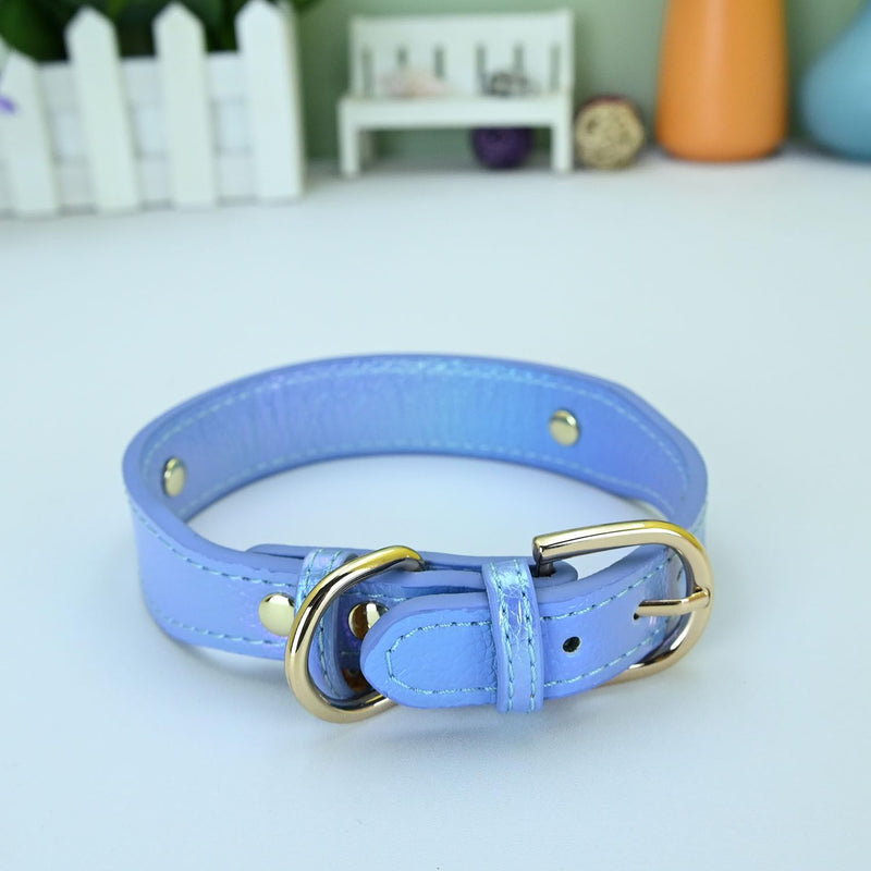 Fashion Cute Dog Collar with a Alloy Heart Shaped Pendant for Small Dogs Cats - Blue - M - PawsPlanet Australia