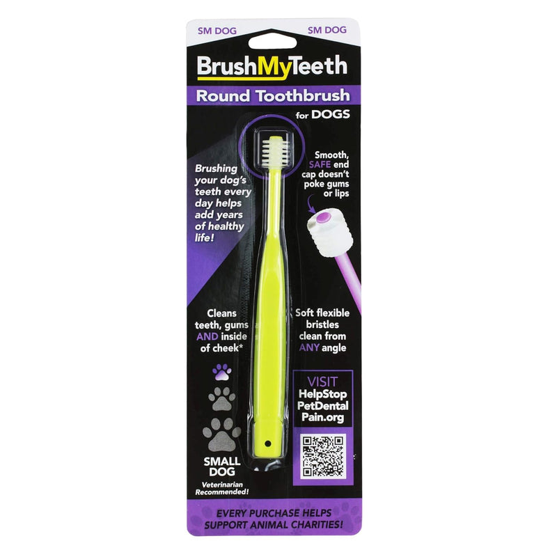 Brush My Teeth Small Dog Toothbrush, Rounded Brush Head -Soft Flexible Bristles, Safe and Gentle Brushing for Small Dogs, Small Breeds and Puppy, Daily Brushing Adds Years of Healthy Life, Multicolor 1 Count (Pack of 1)