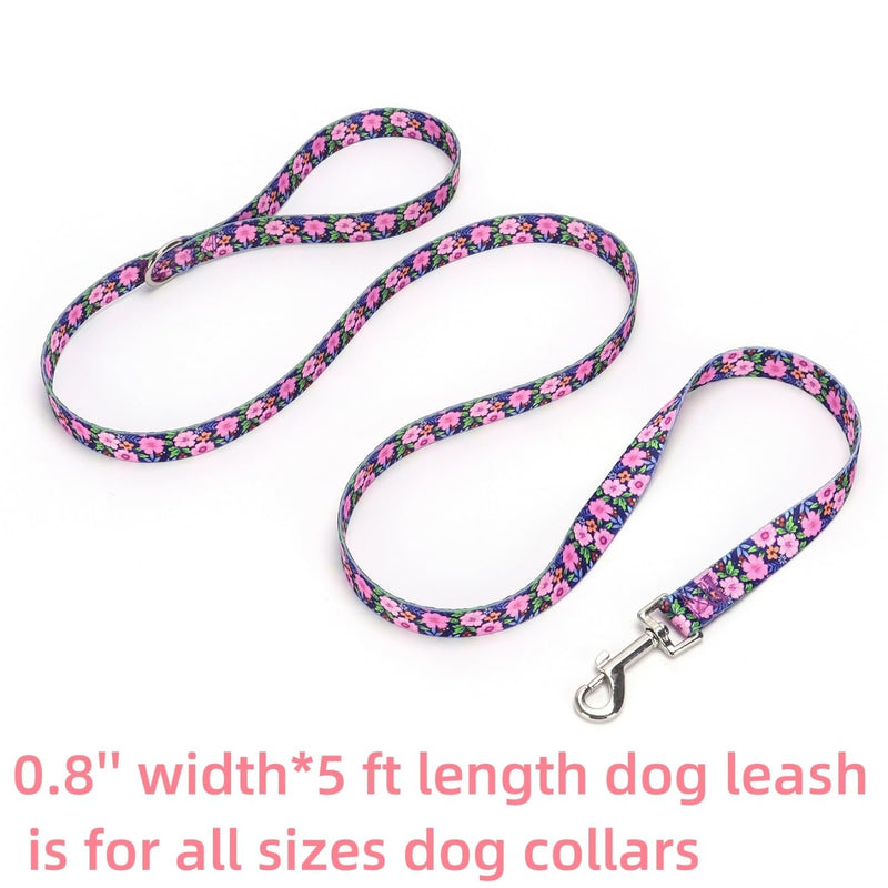 Dog Collar with Leash Airtag Holder Case Set - Dog Collars for Male Female Boy Girl Puppy X-Small Small Medium Large Dogs Walking Running Training - Daisy/XS XS:7.8-11.8'' girth , 0.6'' width