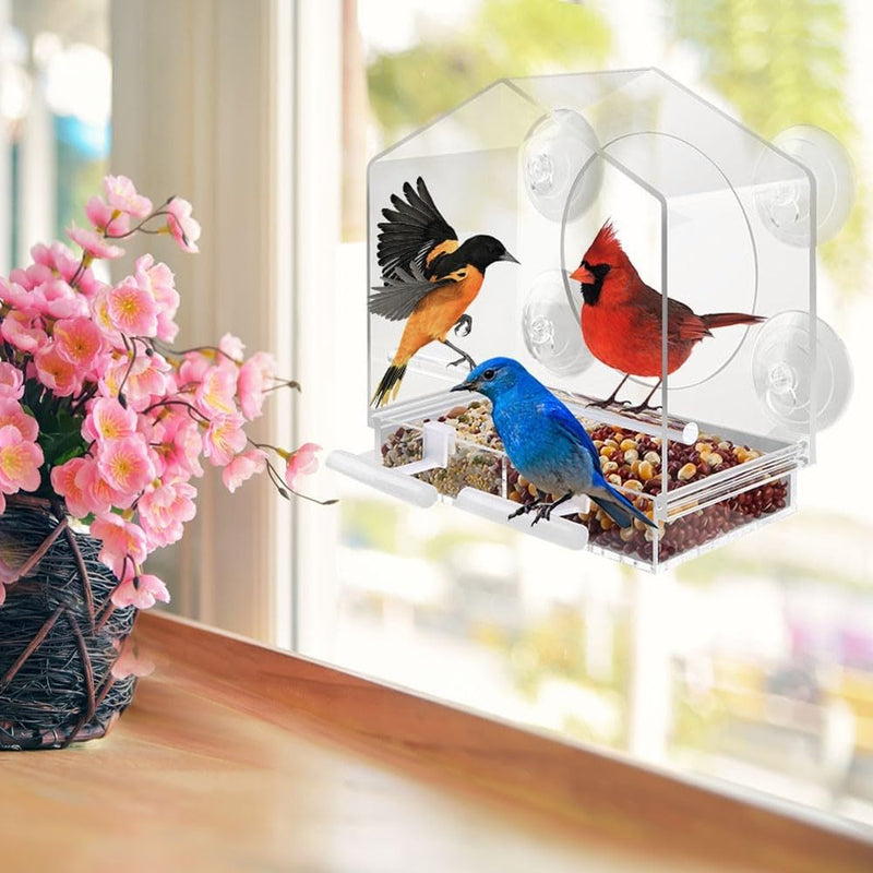 2PCS Bird Perch Stands, Acrylic Parrot Feeder Playstand Window Bird Feeder Accessories for Blue Jay Cardinal Goldfinch Chickadees - PawsPlanet Australia