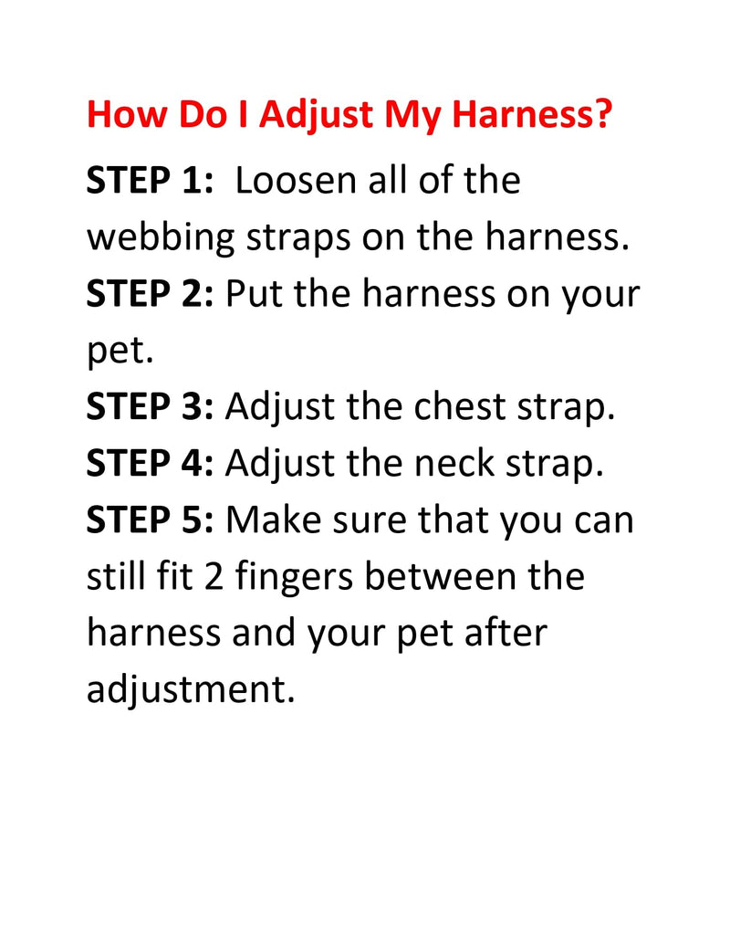 Best Pet Supplies Voyager Adjustable Dog Harness Leash Set with Reflective Stripes for Walking Heavy-Duty Full Body No Pull Vest with Leash D-Ring, Breathable All-Weather Wear - Turquoise, M M (Chest: 17 - 21") Turquoise (Leash Bundle)