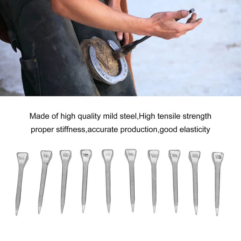TOPINCN 250pcs Horseshoe Nails, 41mm/1.6in Horseshoe Nails High Tensile Strength Good Elasticity Crafted Steel Horse Shoes Nails Horseshoe Tools(FJ0RACE) - PawsPlanet Australia
