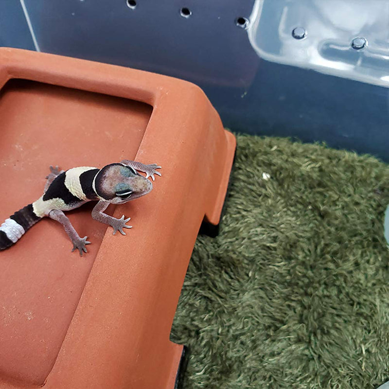 kathson 2pcs Reptile Carpet Terrarium Liner Tortoise Bedding Reptile Substrate Liner Mat Pet Cage Mats Supplies for Lizard Snake Bearded Dragon Gecko Chameleon Turtle Iguana (11.81 X 7.87 in) 2PCS（M）：11.81 X 7.87 in - PawsPlanet Australia