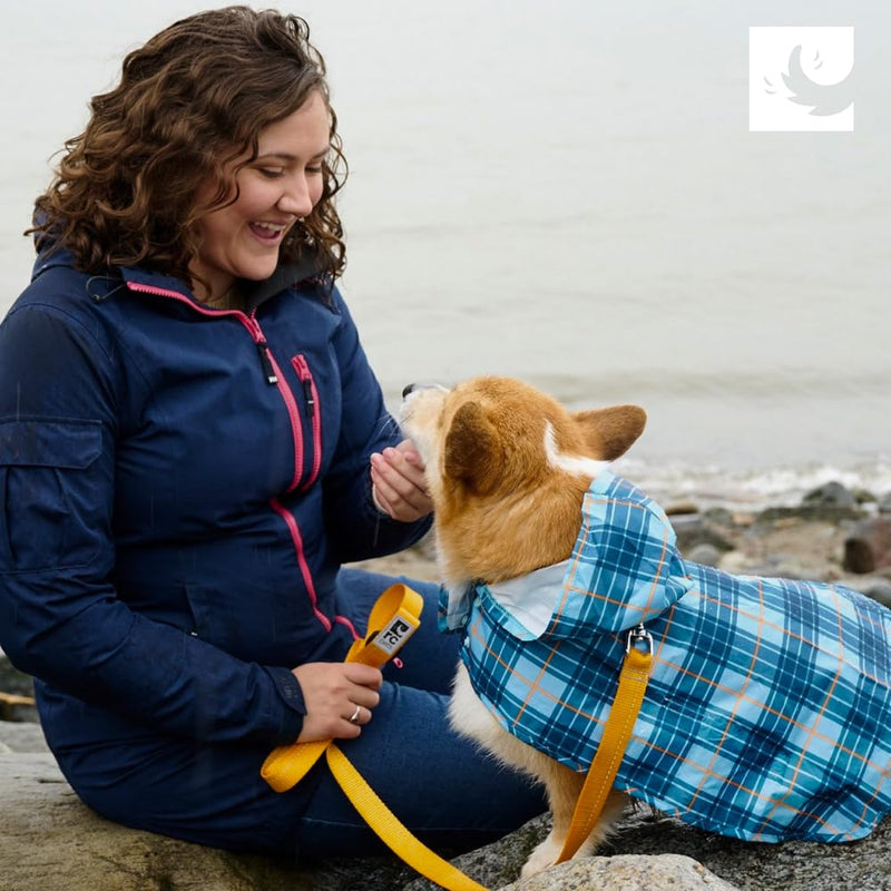 RC Pet Products Waterproof, Stylish, Comfortable Packable Rain Poncho | XX-Large Paper Planes - PawsPlanet Australia