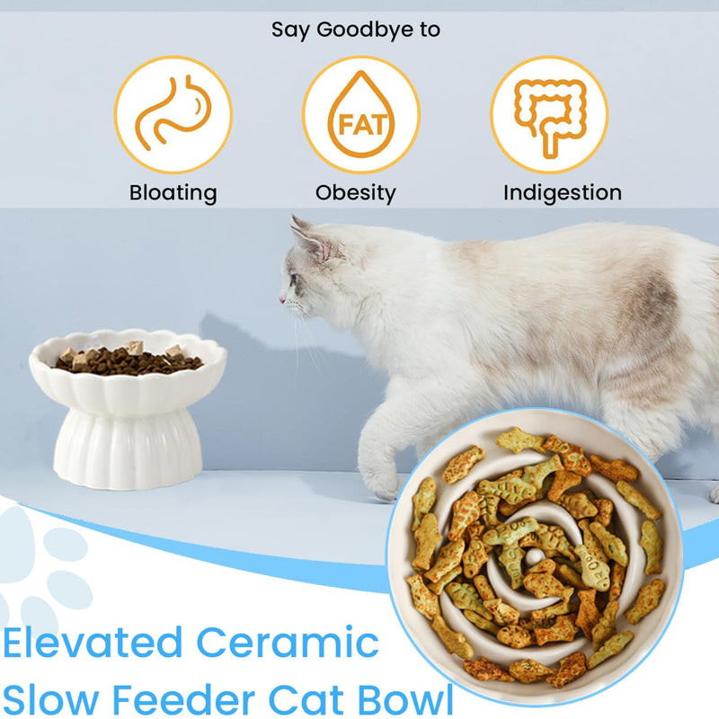 Ceramic Elevated Slow Feeder Cat and Small Dog Bowl,Anti Vomiting,Easy to Clean,Spill-Proof & Anti-Tipping Raised Pet Bowl for Food (White)