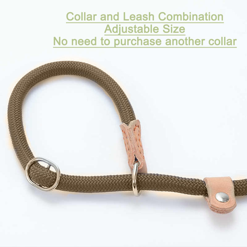 Slip Lead Dog Leash,Comfortable NBR Handle,Nylon Rope Lead for Control Safety Training,Preventing Dogs from Suddenly Rushing,Leashes for All Dogs (Basic Style?Beige-5ft*3/8inch) - PawsPlanet Australia