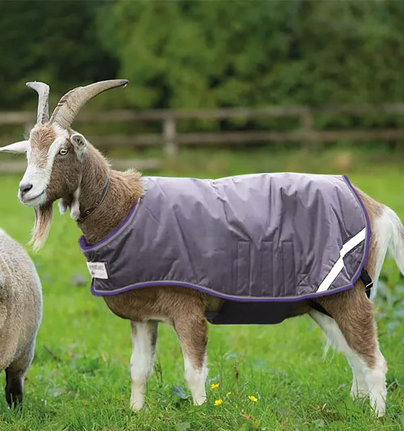 Horseware Ireland Breathable Waterproof Windproof Cold Weather Adjustable Goat Coat (100g Fill) Excalibur/Silver/Strong Blue/Black XX-Large - PawsPlanet Australia
