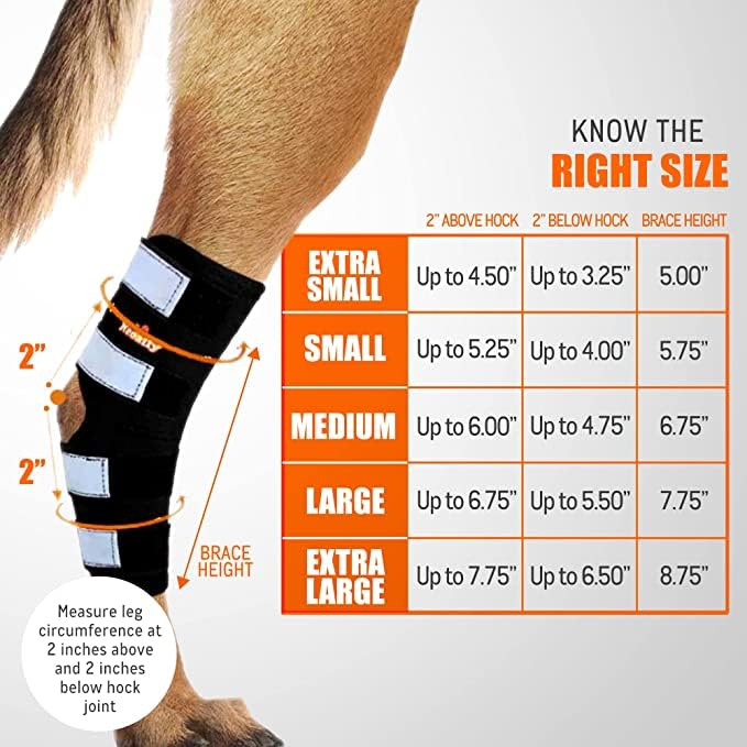 NeoAlly Dog Rear Leg (One Leg) Hock Brace, Canine Leg Wrap for Hind Leg, Ideal Hock & Ankle Support and Protection for Sprain Recovery, Achilles Tendon Injury (Extra Large (Left Leg)) Right Leg Small