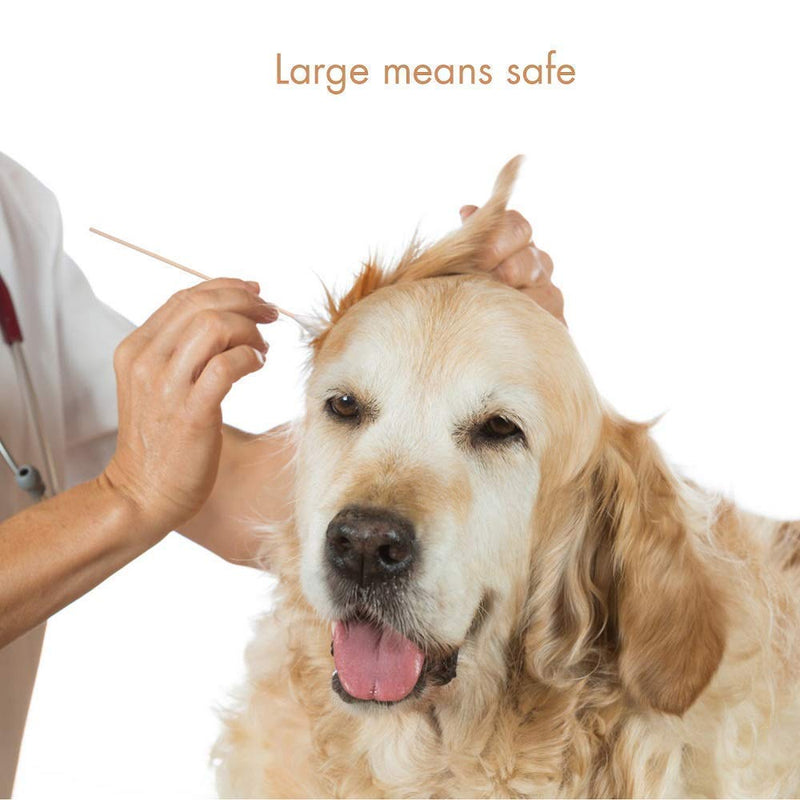 Large Cotton Swabs for Dog Ear and Dog Grooming Scissors - PawsPlanet Australia