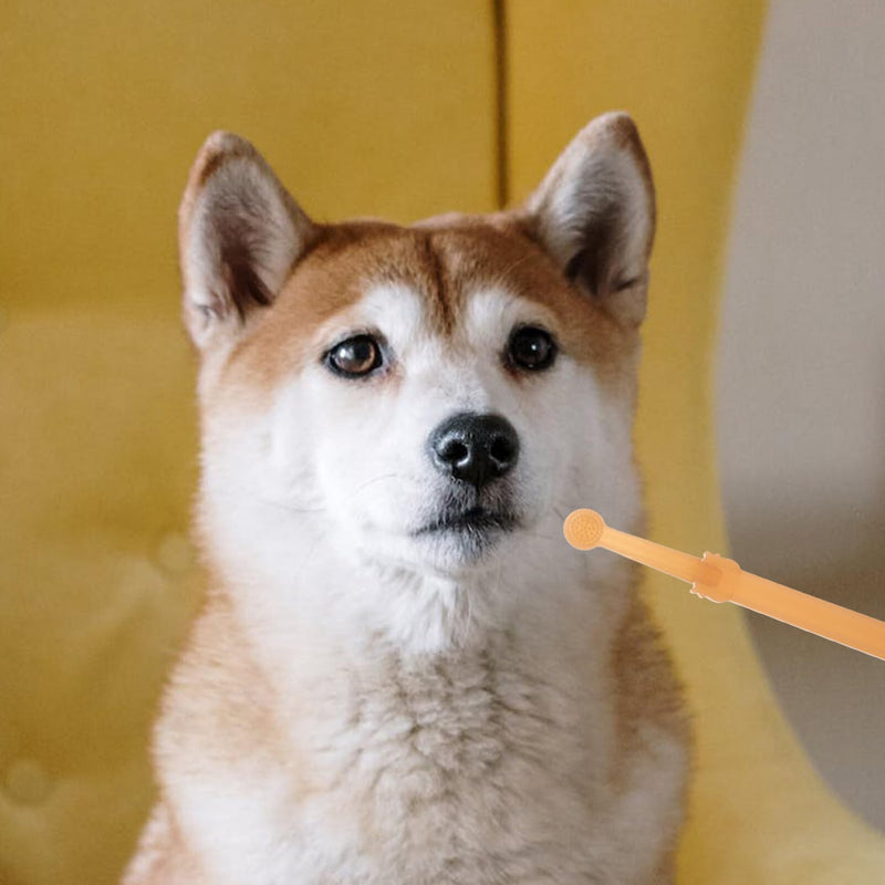 Yardwe Dog Toothbrush Set with Soft Bristles and Ergonomic Handle Includes 2 Pet Toothbrushes and Storage Holder for Effective Oral Care and Tartar Prevention
