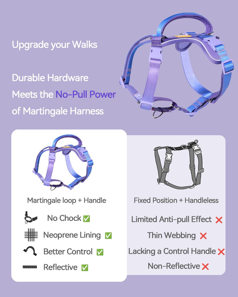 DF Freedom No Pull Martingale Dog Harness, Gentle Control for No Choking, Front Clip Harness with Reflective, Adjustable & Padded Handle for Easy Walking & Training, Rainbow, 3/4", Chest 20"-26.8" 3/4" (Chest 20" - 26.8") Rainbow Pro - PawsPlanet Australia