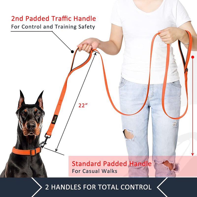 Plutus Pet Dog Leash 6ft long,Traffic Padded Two Handle,Heavy Duty,Reflective Double Handles Lead for Control Safety Training,Leashes for Large Dogs or Medium Dogs,Dual Handles Leads(Orange) Orange - PawsPlanet Australia