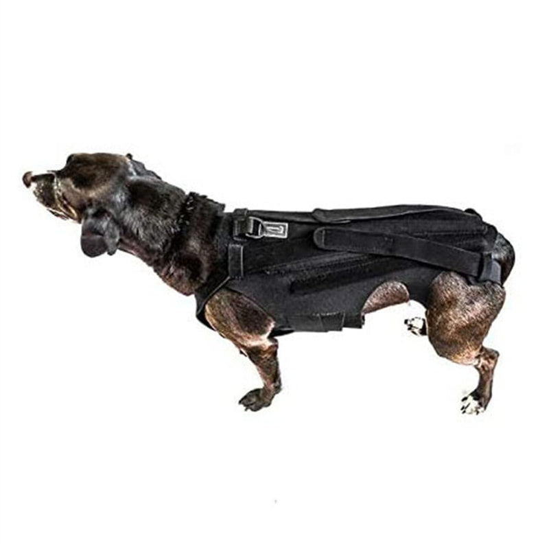 Dog Back Brace, Pet Back Bracer, Dog Back Protector for Arthritis, Spinal Surgical Recovery, Herniated Slipped Disc, Rehabilitation, Injury, Dog Back Supporting Vest (M) - PawsPlanet Australia