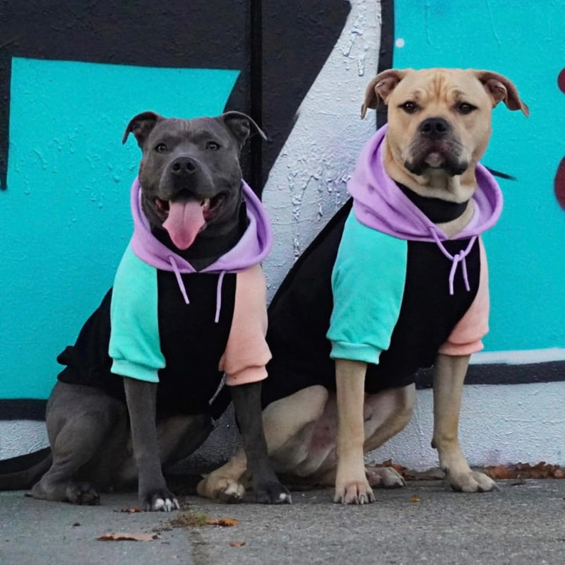 Spark Paws Dog Hoodie - Premium Quality, Buttery Soft, Superior Comfort and Fit, Calming Fleece Interior, Suitable for All Breeds - Cyber Punk - 3XL 3XL: 60-80lbs - PawsPlanet Australia