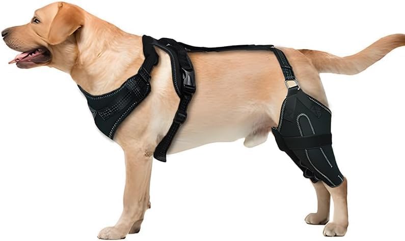 REBORN Dog Double Knee Brace for Torn ACL, CCL & Luxating Patella, Adjustable Back Leg Support & Recovery, Hind Leg Brace for Stability, Arthritis, Injury & Joint Pain Relief, Medium